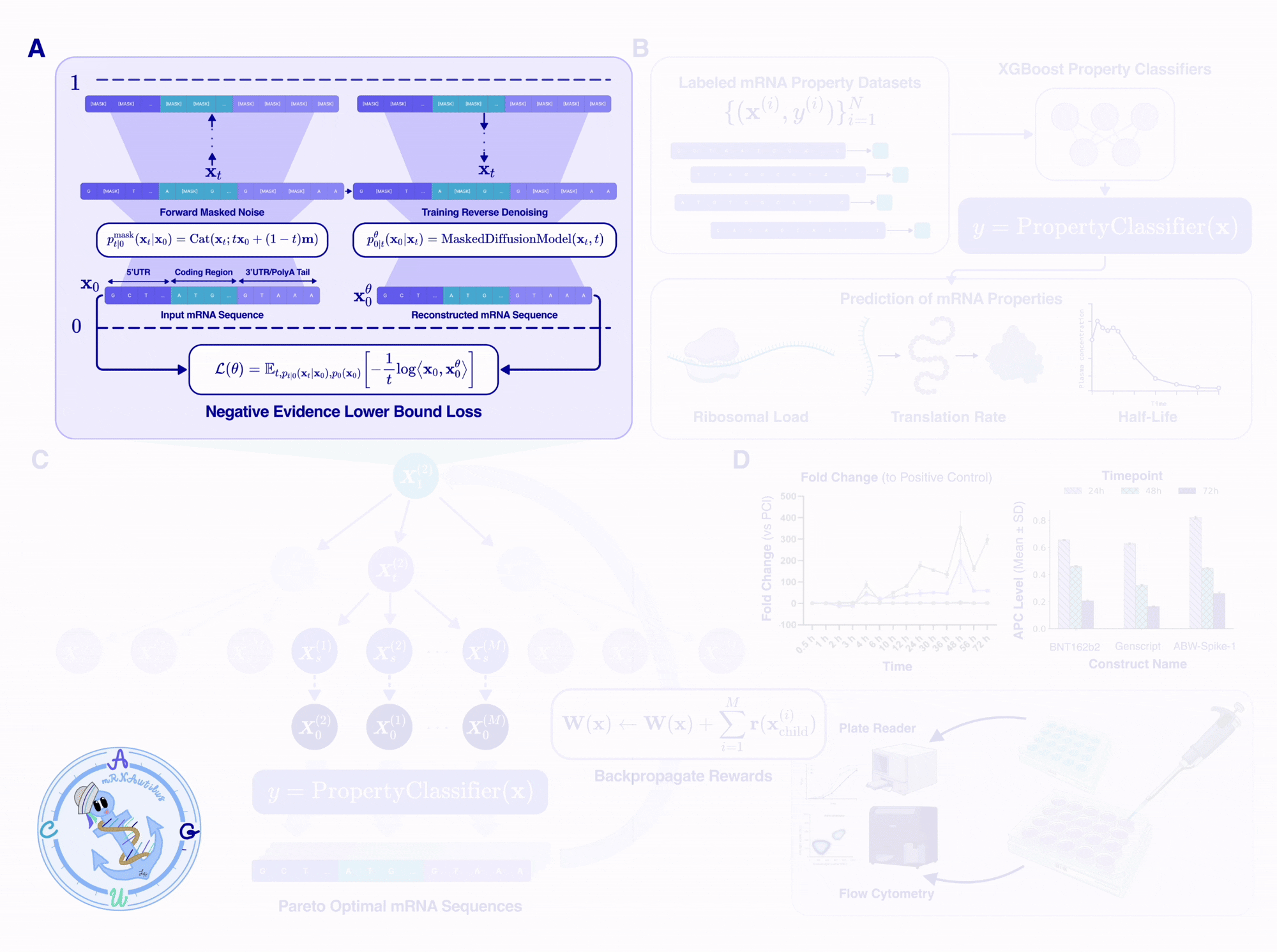 Figure 1: Overview of mRNAutilus