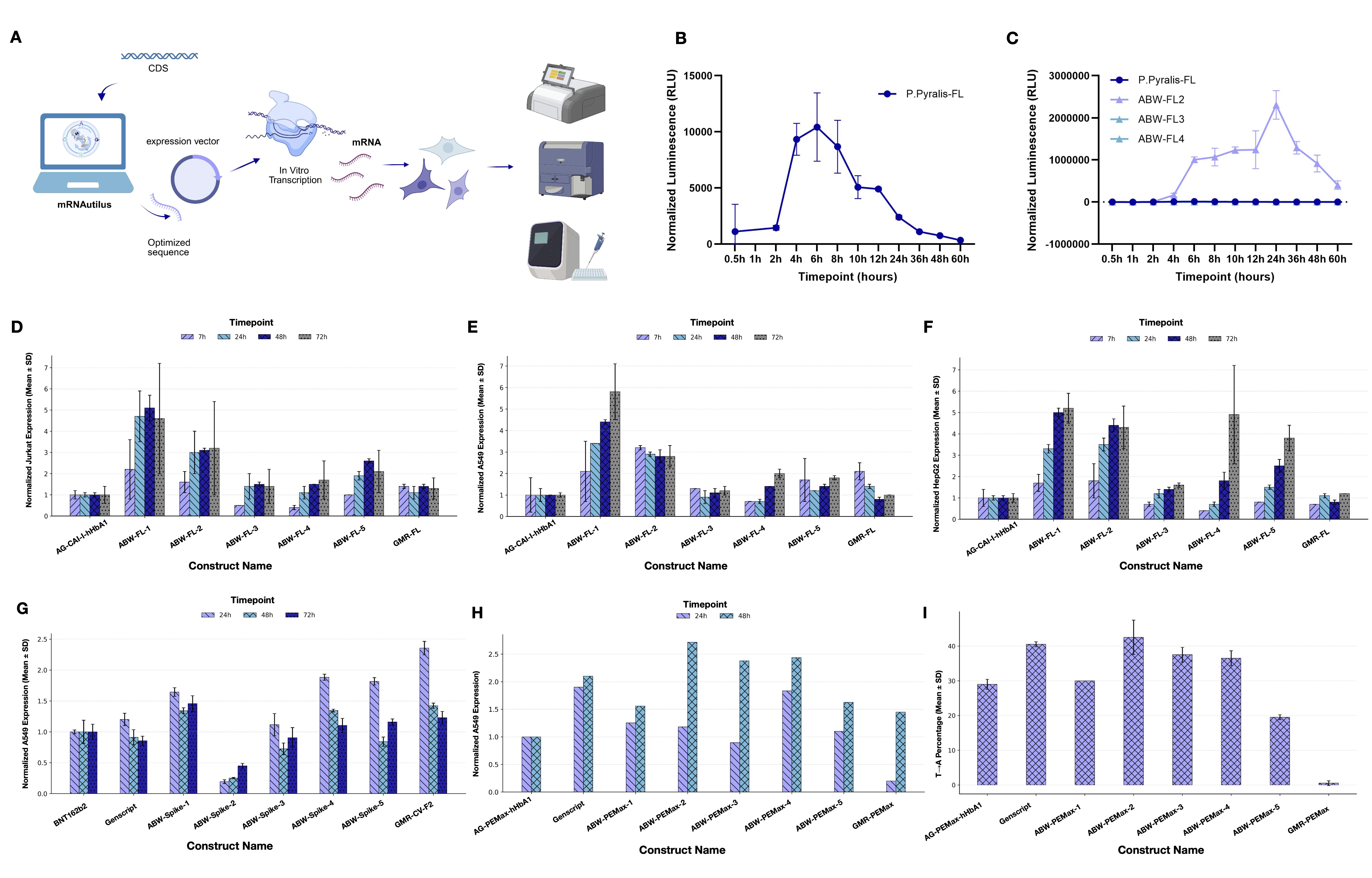 Figure 4: In vitro mRNA evaluation